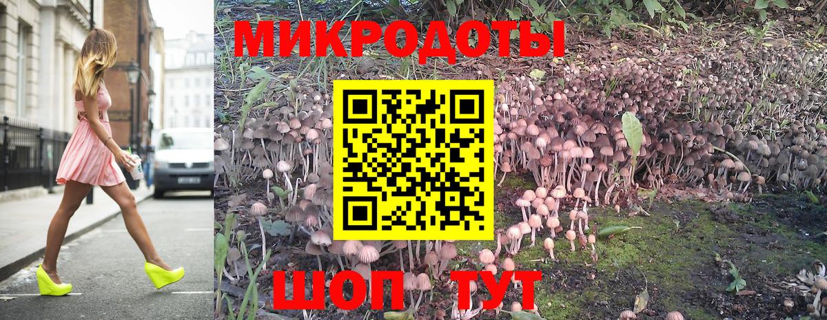 Псилоцибиновые грибы Psilocybe Белово